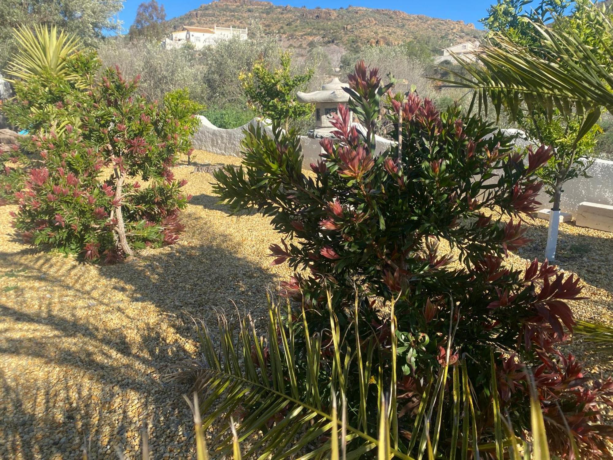 Cortijo Los Corazones Cantoria Ngoại thất bức ảnh
